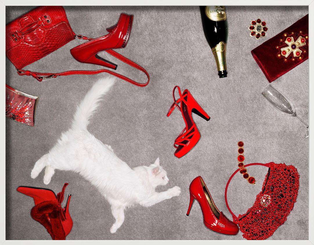 Accessori rossi - Articoli di lusso rossi e un gatto bianco, Fine Art Photography in vendita 6