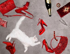 Accessoires rouges de luxe et un chat blanc, photographie d'art