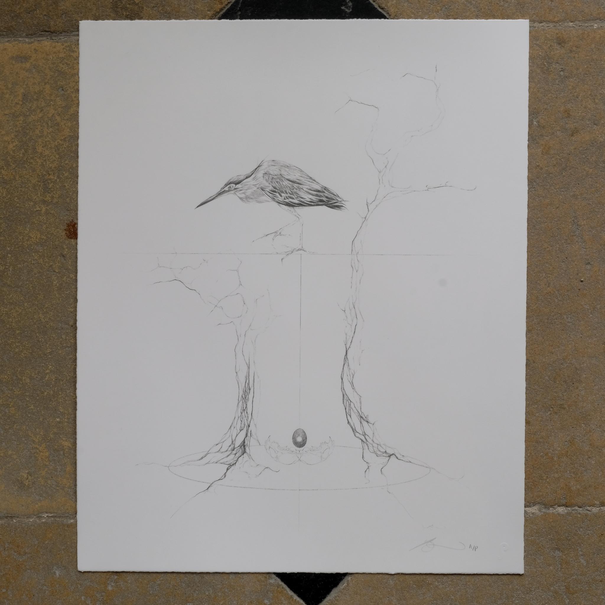 Screenprint, 2011, on Somerset Satin 300gsm paper, signed in pencil, inscribed ‘A/P’ (an artist’s proof aside from the edition of 125), from the portfolio Ghosts of Gone Birds, printed and published by Jealous, London, the full sheet, with a deckle