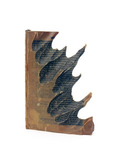 Carving: Book 28
