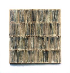 Spine 10