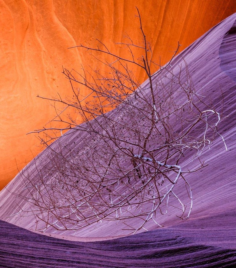 Jessica Fridrich - A