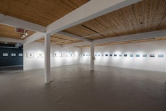 We Came in Sight of the Barrier: Mixed Media Collage, 2010-