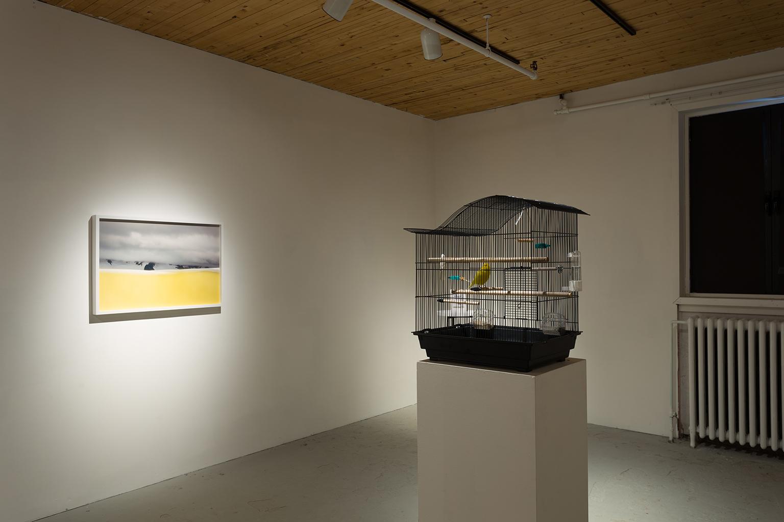 Reclamaciones perdurables (Antártida) - Photograph de Jessica Houston