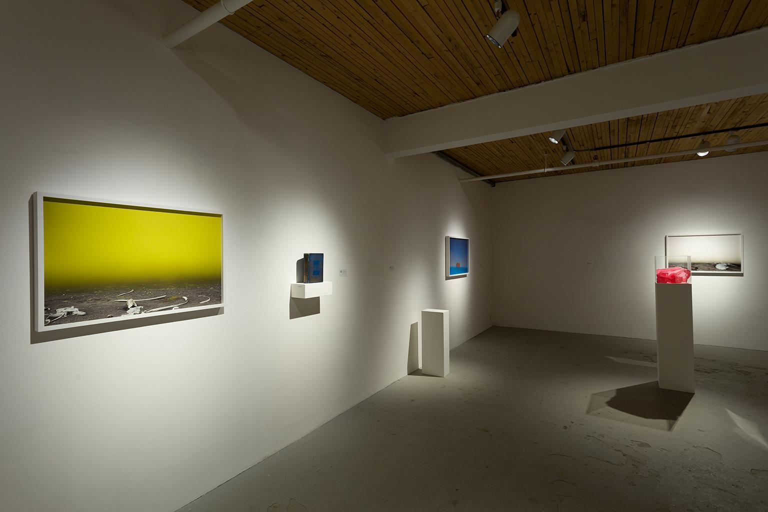 Perdita di profitti a causa della scarsità (Antartide) - Photograph Contemporaneo di Jessica Houston