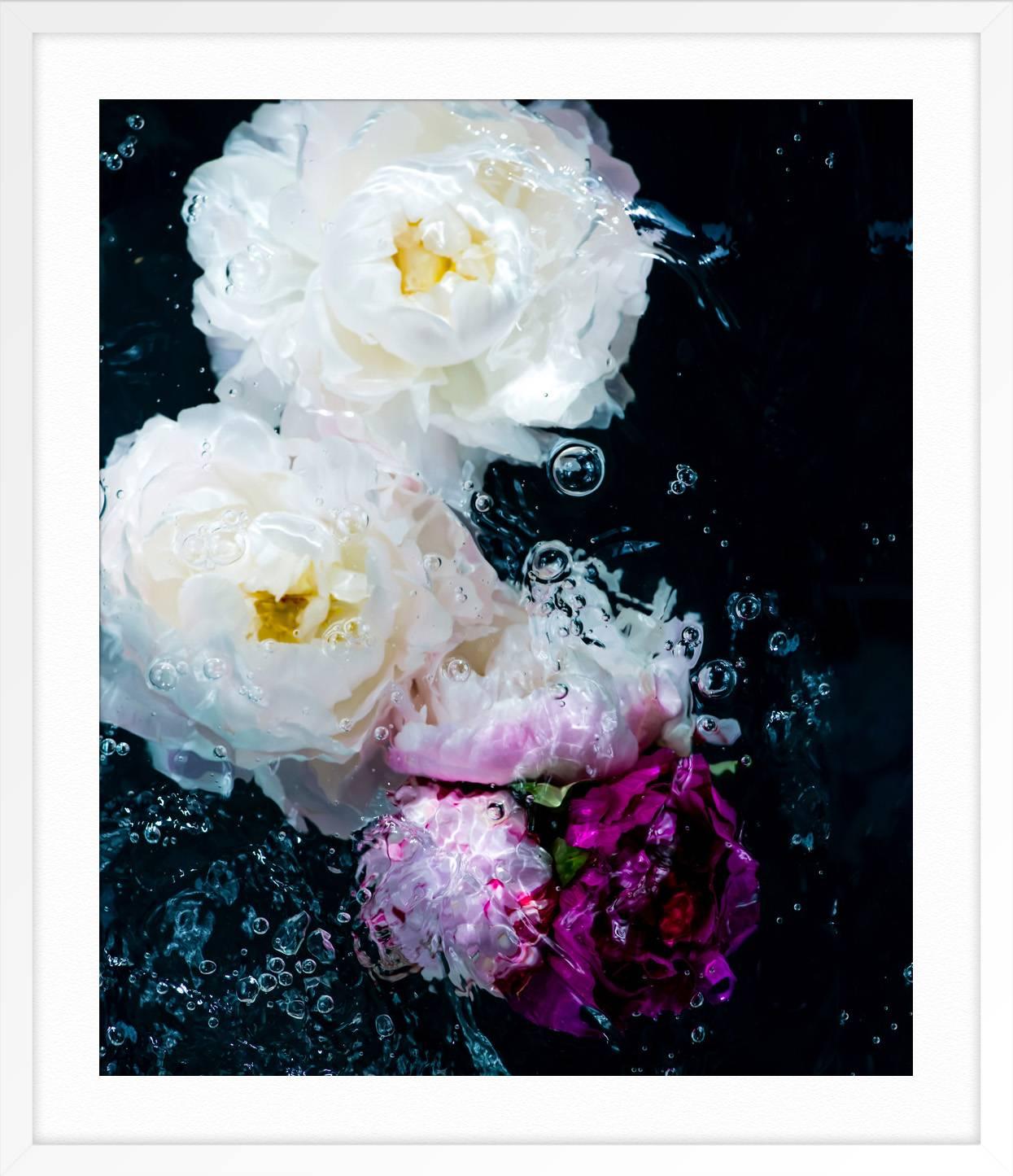 Your Song - Black Color Photograph by Jessica Kenyon