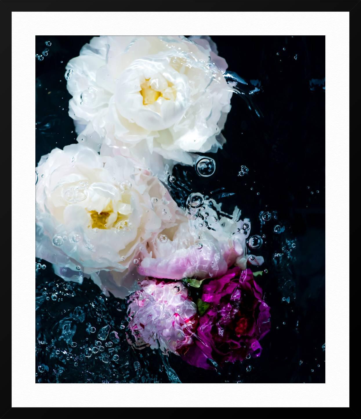 ABOUT THIS PIECE: My work is a meditation on impermanence. To capture a feeling of change, I photograph flowers and ink in moving water. Compositions reveal themselves to me as the water pushes and pulls my delicate subject matter. My artistic