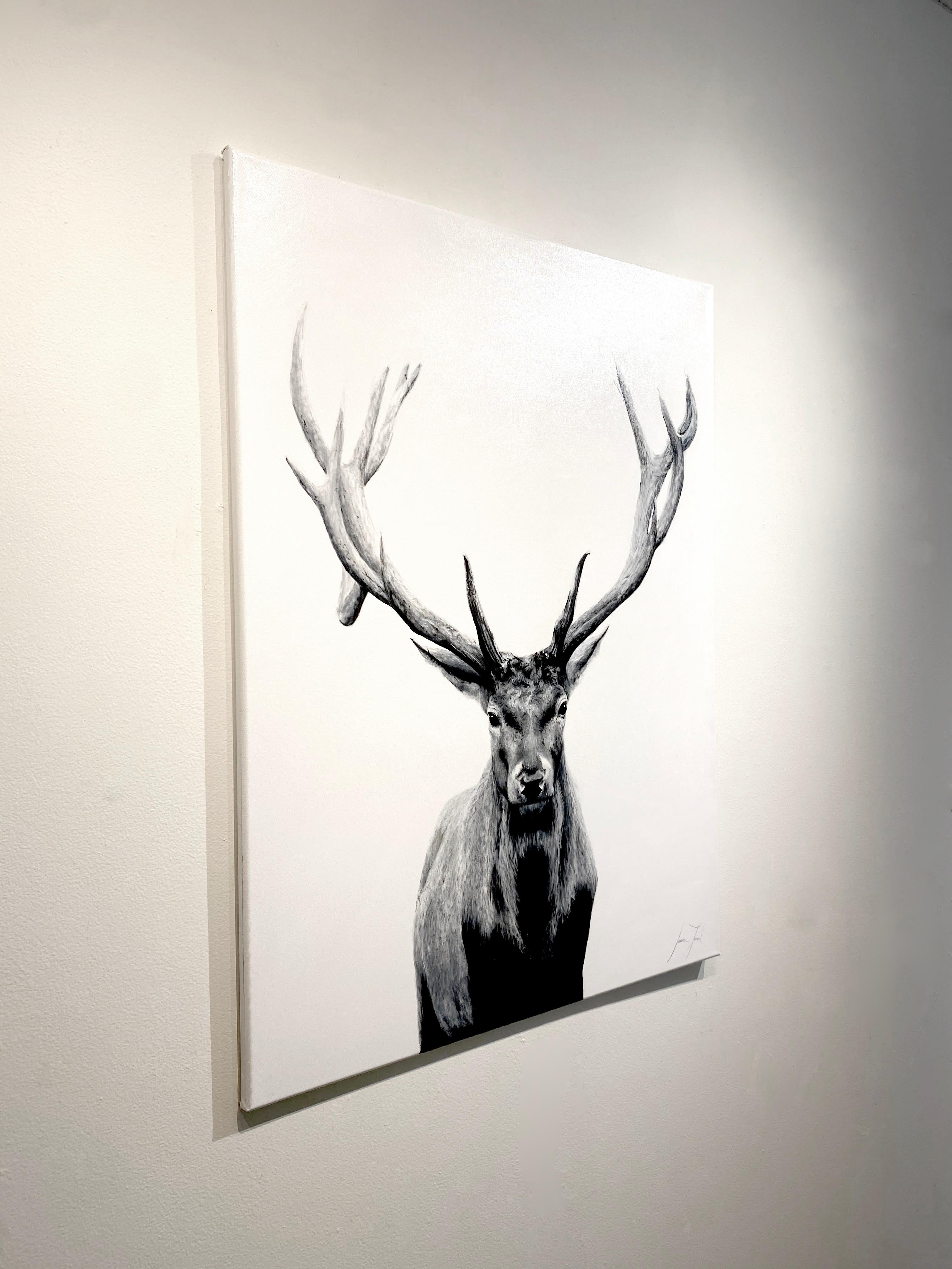 This black and white elk portrait, 