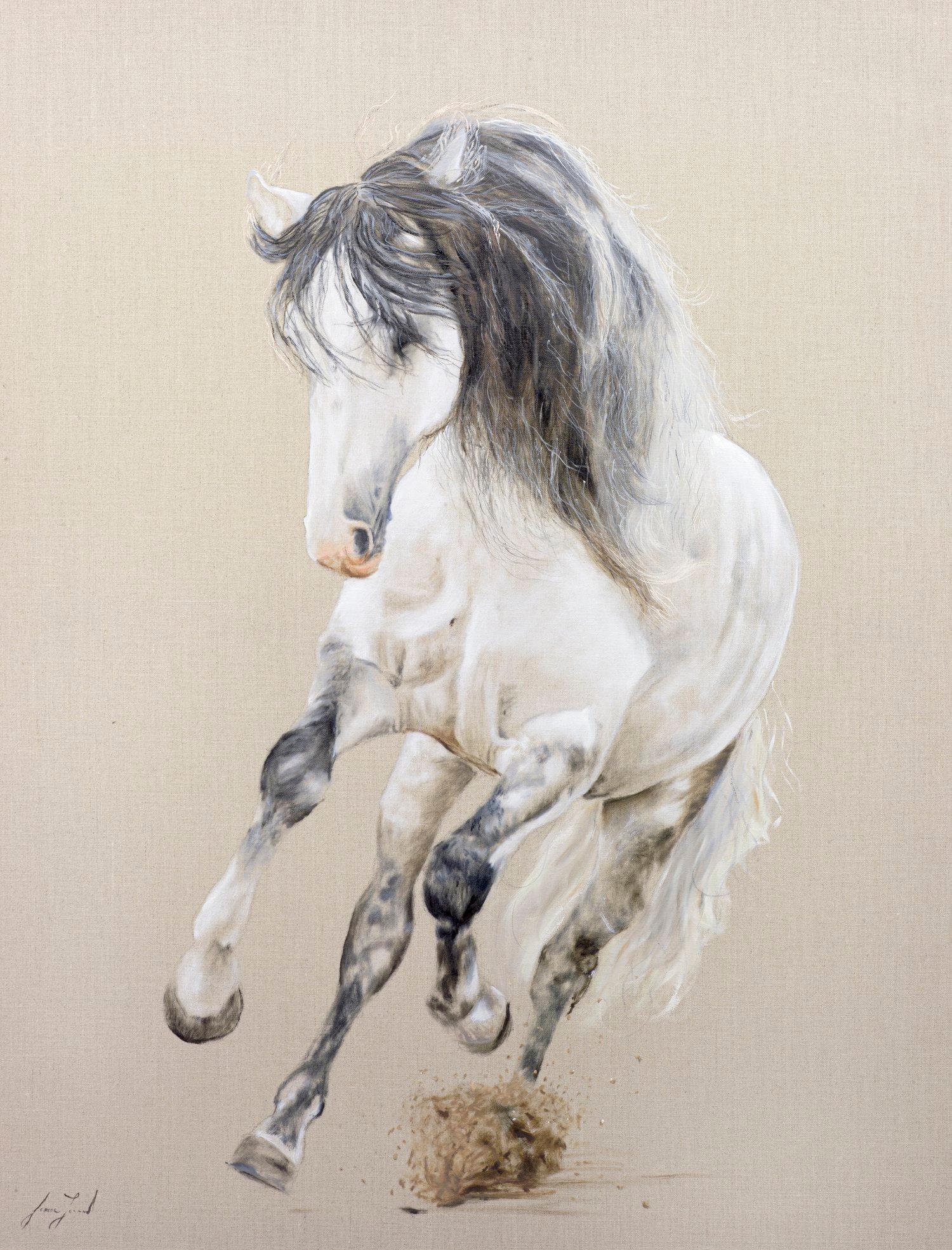 jessica whitehorse