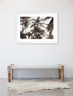 Brezza tropicale n. 1