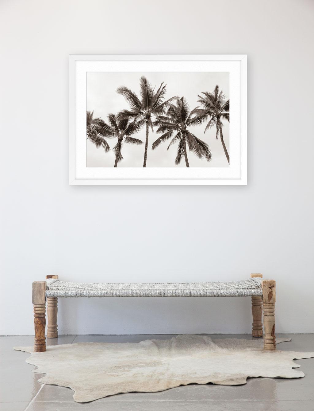 Tropical Breeze No2 – Photograph von Jessica Nugent