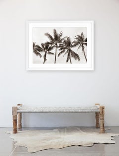 Brezza Tropicale No2