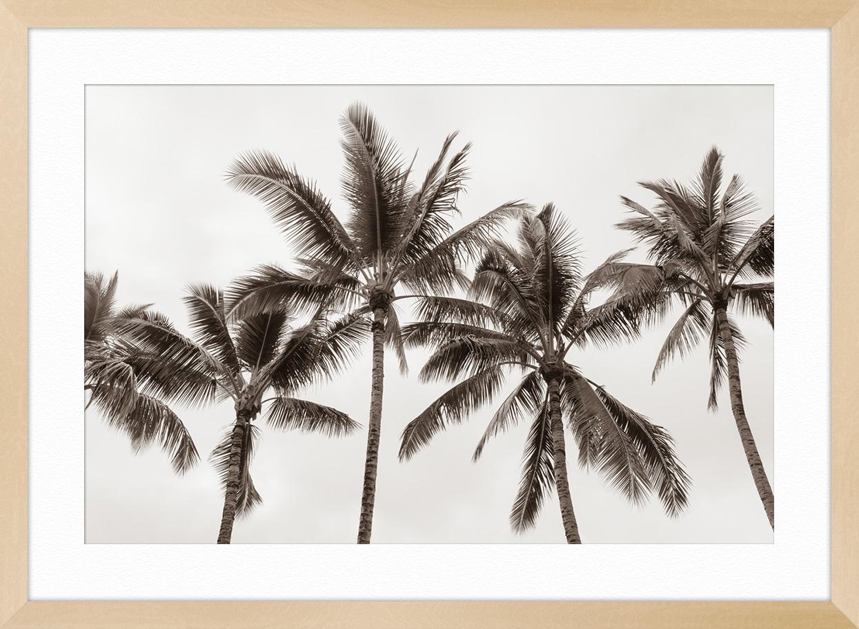 Tropical Breeze No2 im Angebot 1