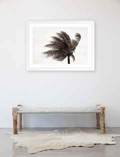 Brezza tropicale n. 3