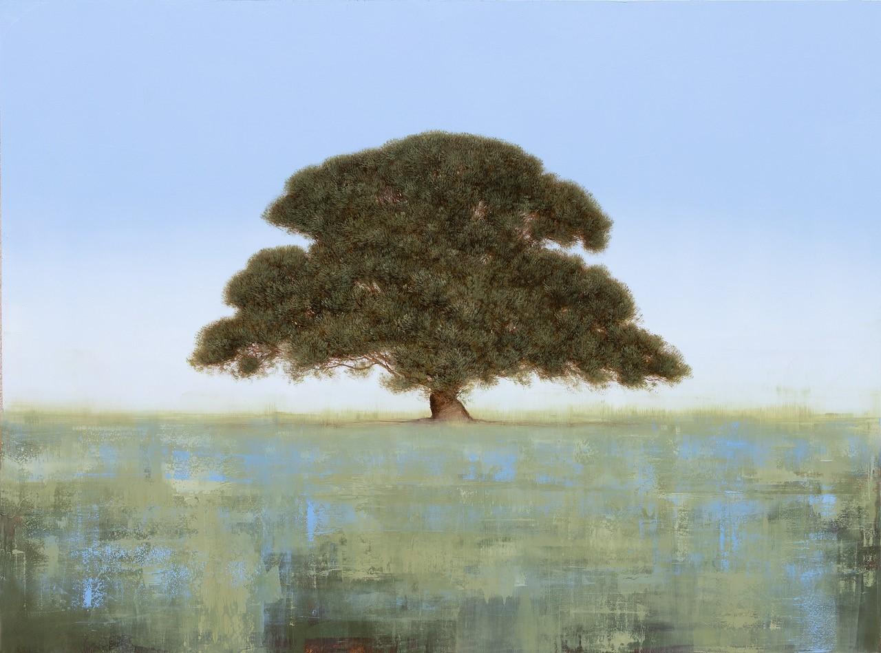 Ispirata dalla natura, l'interesse di Jessica Pisano per l'arte è iniziato in giovane età. È stato lo splendido paesaggio della sua città natale, Martha's Vineyard, a farle da musa. In seguito ha perseguito la sua passione per le arti al Lewis and