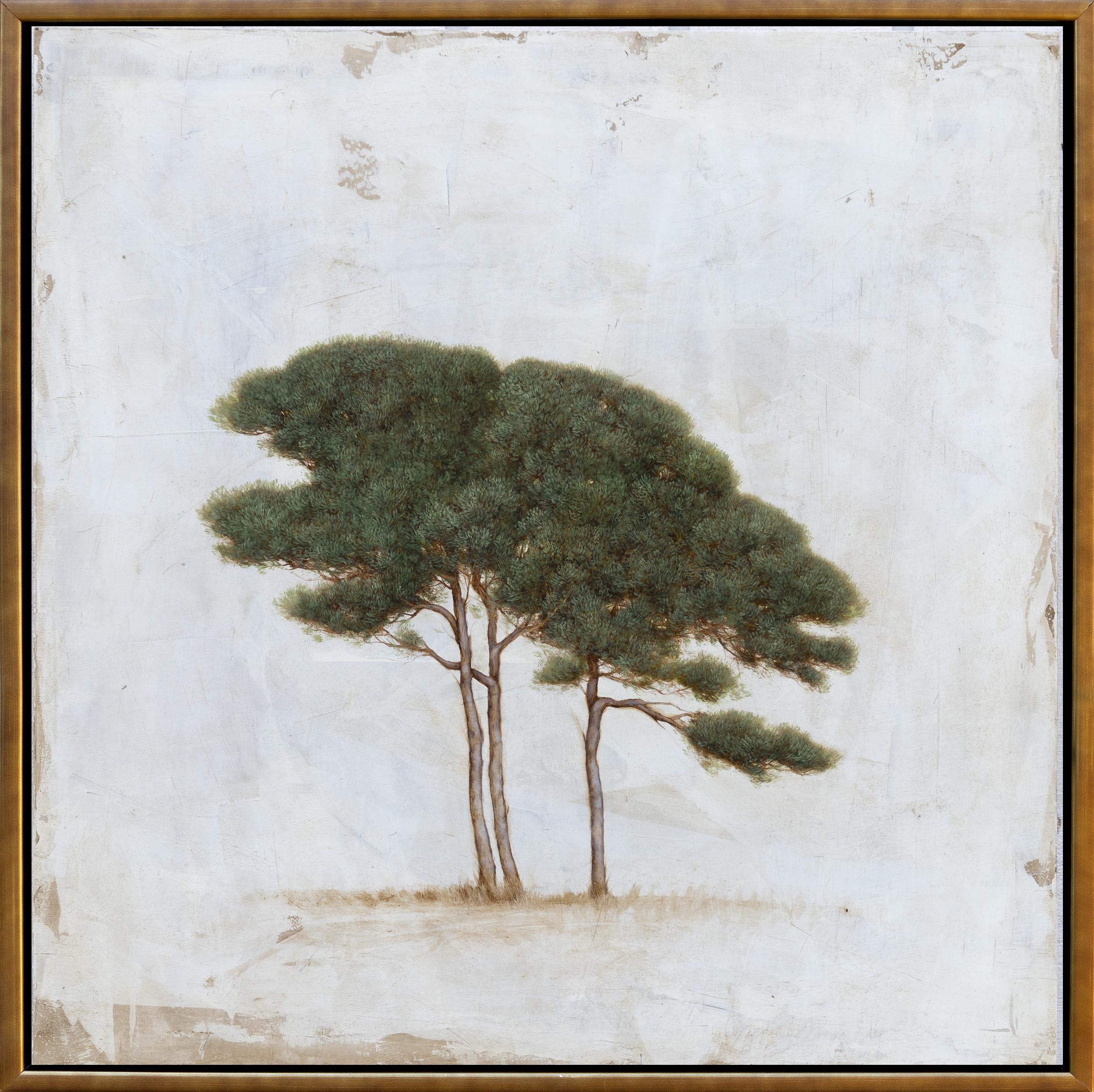 Inspired by nature, Jessica Pisano’s interest in art began at a young age. It was the beautiful landscape of her hometown of Martha's Vineyard that served as her muse. She later pursued her passion for the arts at Lewis and Clark College in