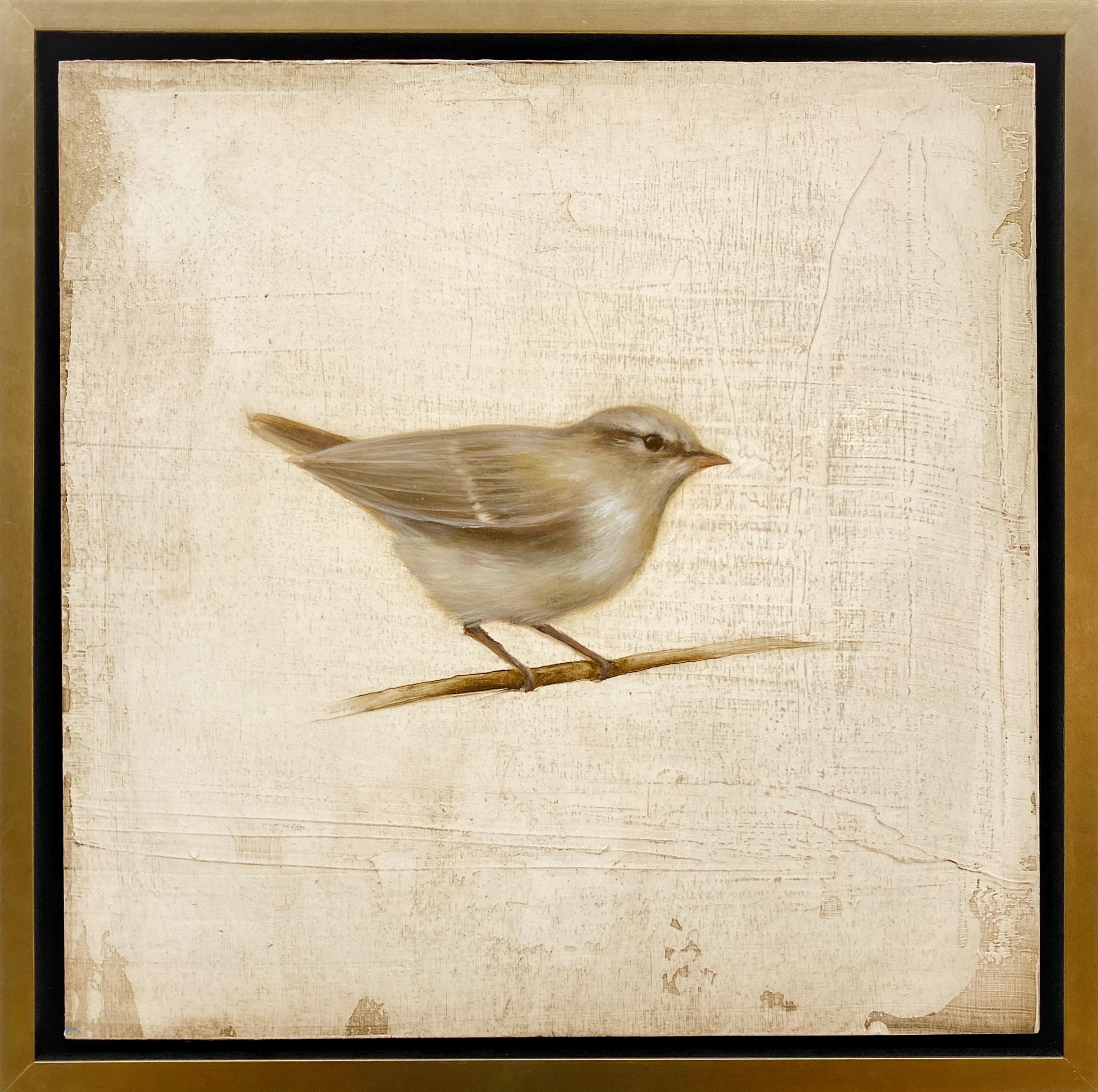 Perched I by Jessica Pisano, Contemporary Bird Painting on Board
