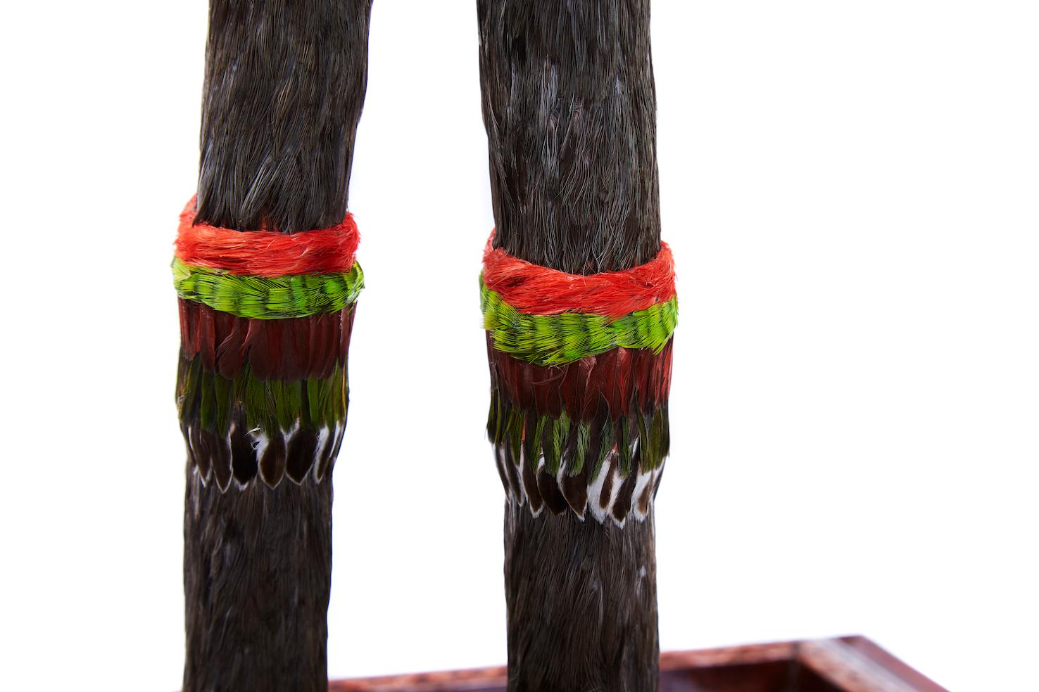 Emperador Ahuizotl, Mexican Folk Art, Featherwork  - Cactus Fine Art For Sale 5