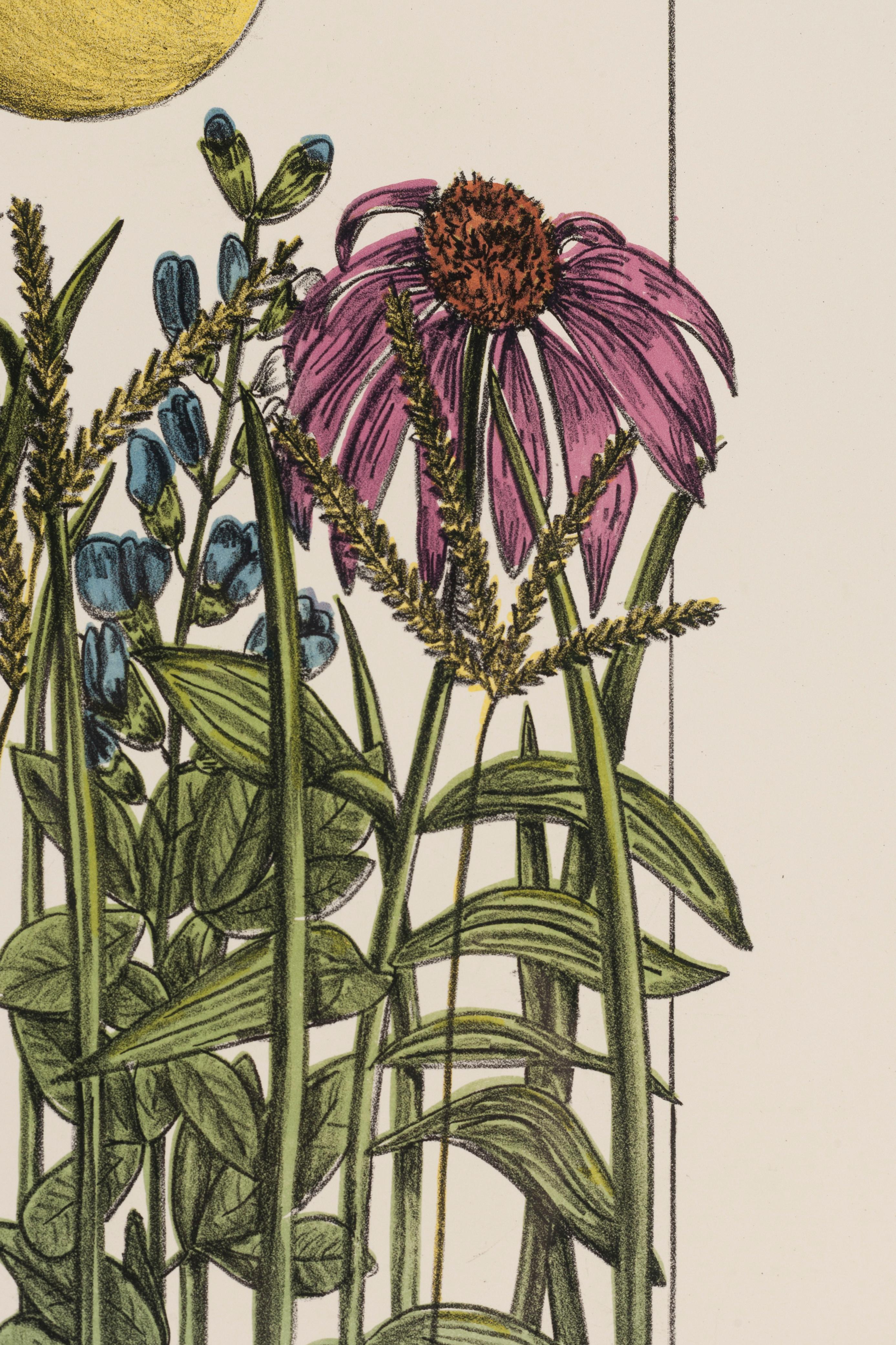 Prairie - Beige Still-Life Print by Jessie Donovan