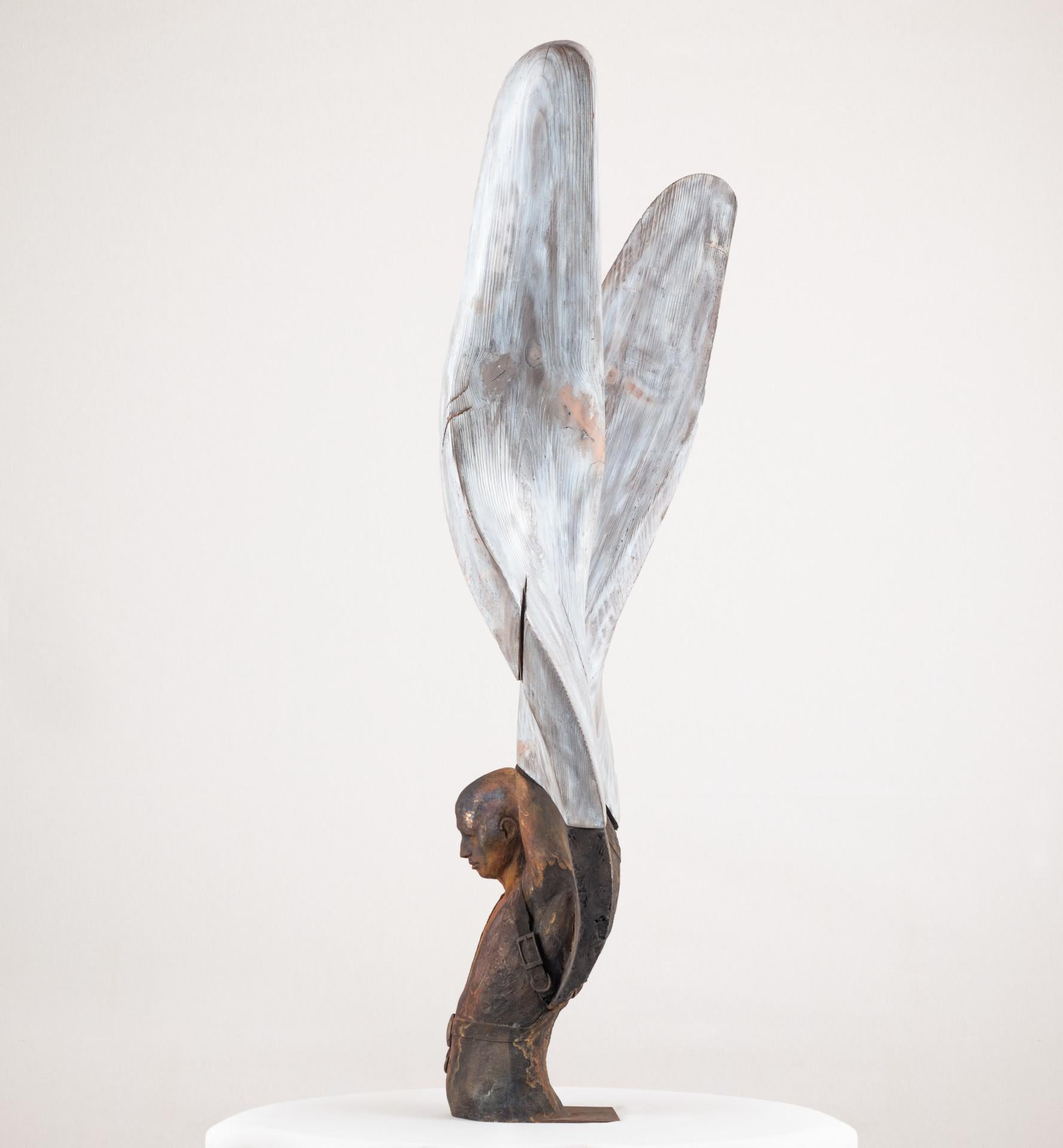 Helicoide IV, 2015, Jesus Curiá, Figurative Art, Bronze wood Sculpture, Brown For Sale 1