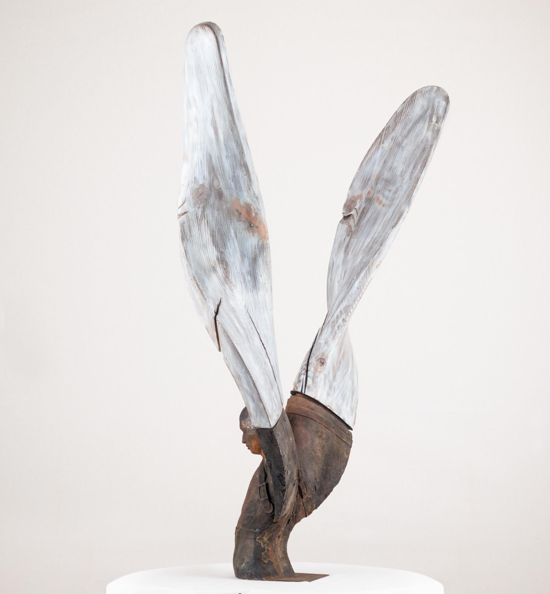 Helicoide IV, 2015, Jesus Curiá, Figurative Art, Bronze wood Sculpture, Brown For Sale 2