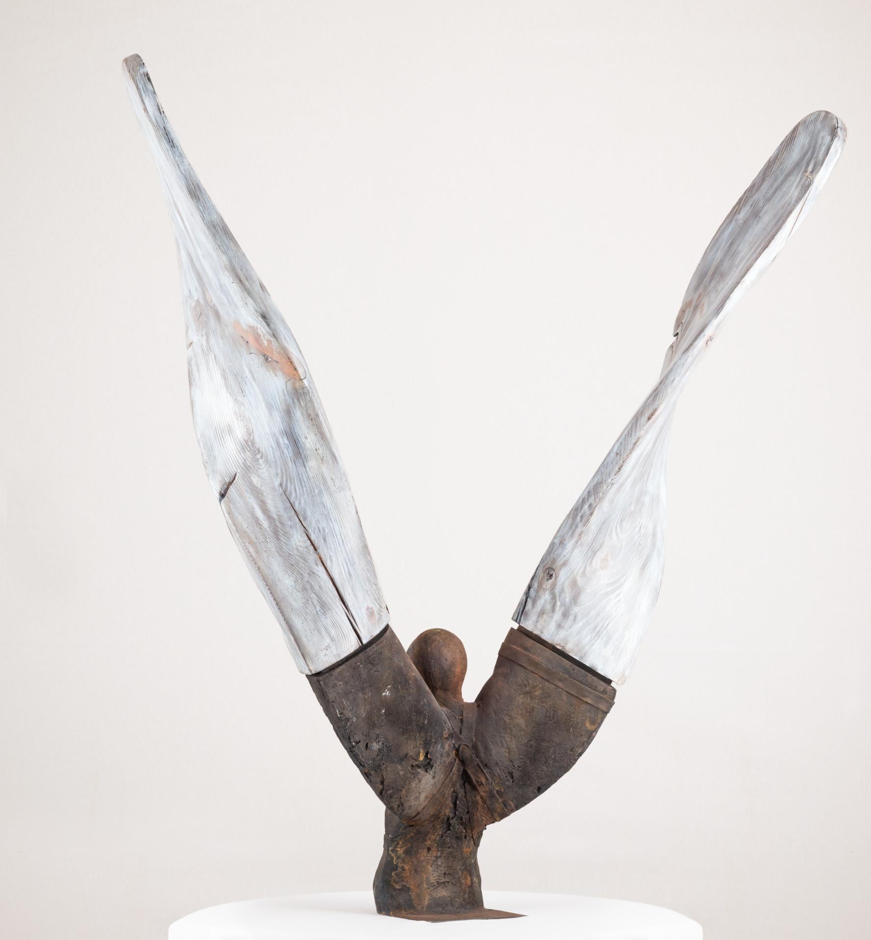 Helicoide IV, 2015, Jesus Curiá, Figurative Art, Bronze wood Sculpture, Brown For Sale 3