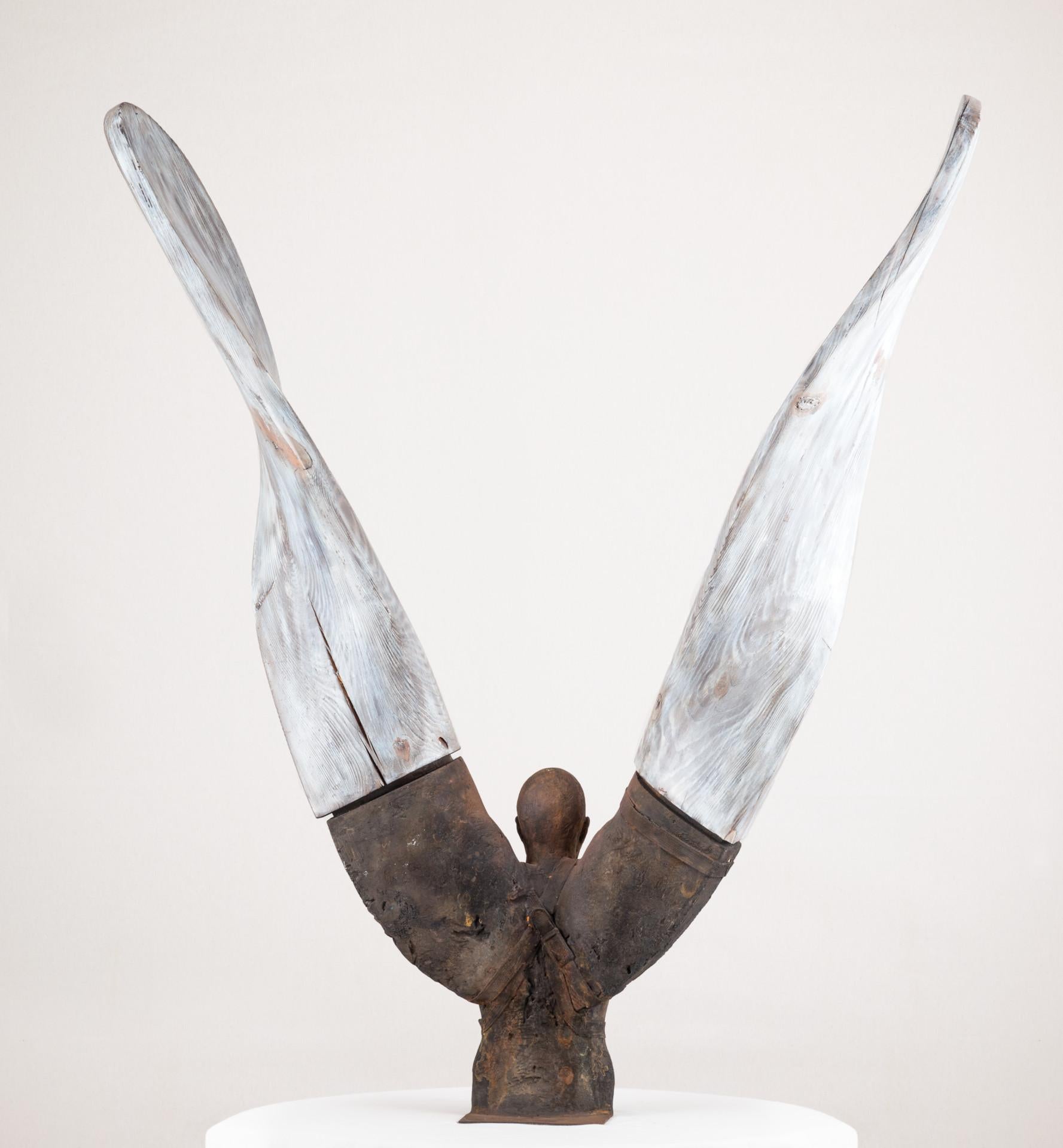Helicoide IV, 2015, Jesus Curiá, Figurative Art, Bronze wood Sculpture, Brown For Sale 4