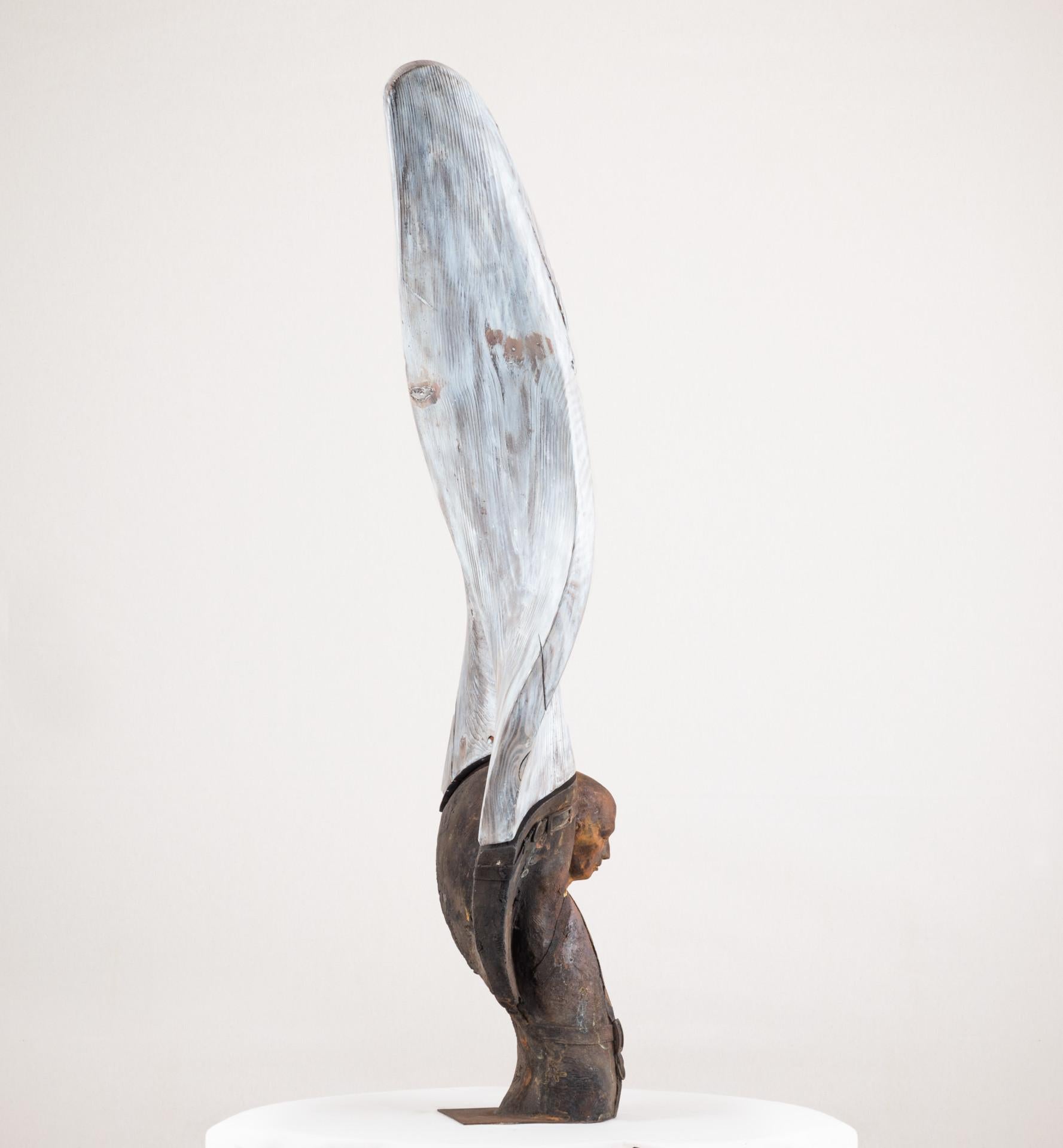 Helicoide IV, 2015, Jesus Curiá, Figurative Art, Bronze wood Sculpture, Brown For Sale 5