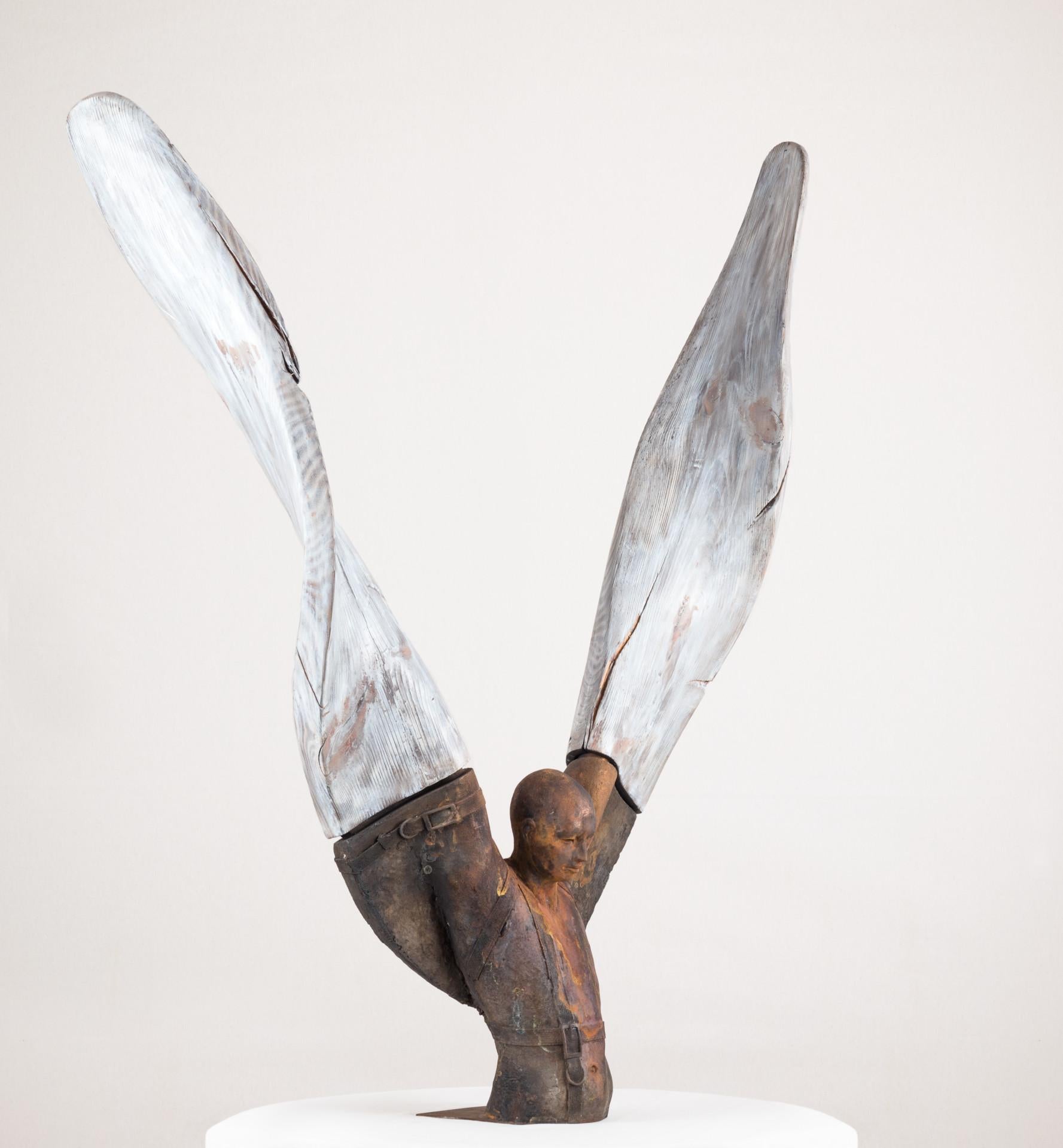 Helicoide IV, 2015, Jesus Curiá, Figurative Art, Bronze wood Sculpture, Brown For Sale 6