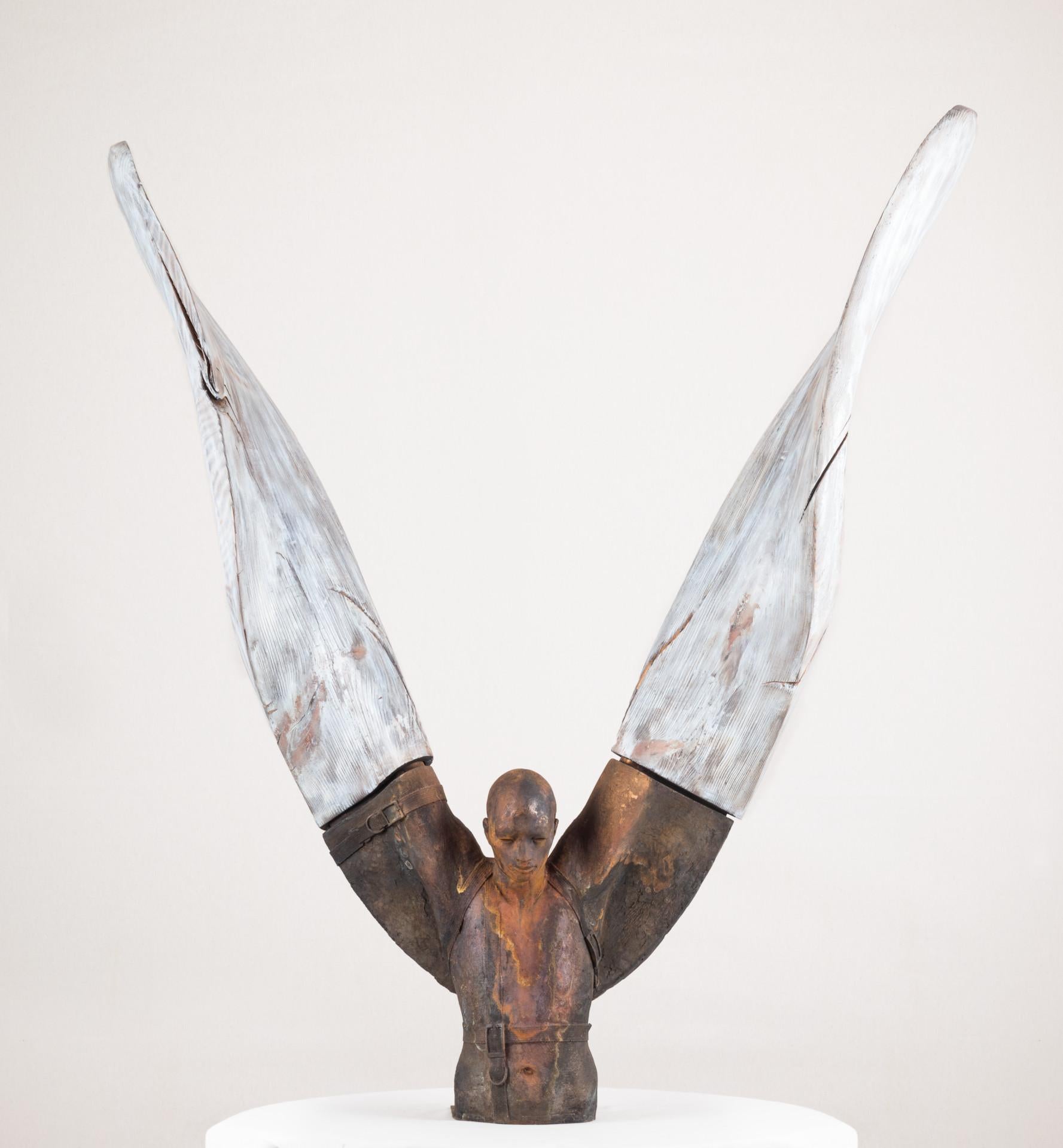 Jesus Curia Perez Figurative Sculpture - Helicoide IV, 2015, Jesus Curiá, Figurative Art, Bronze wood Sculpture, Brown