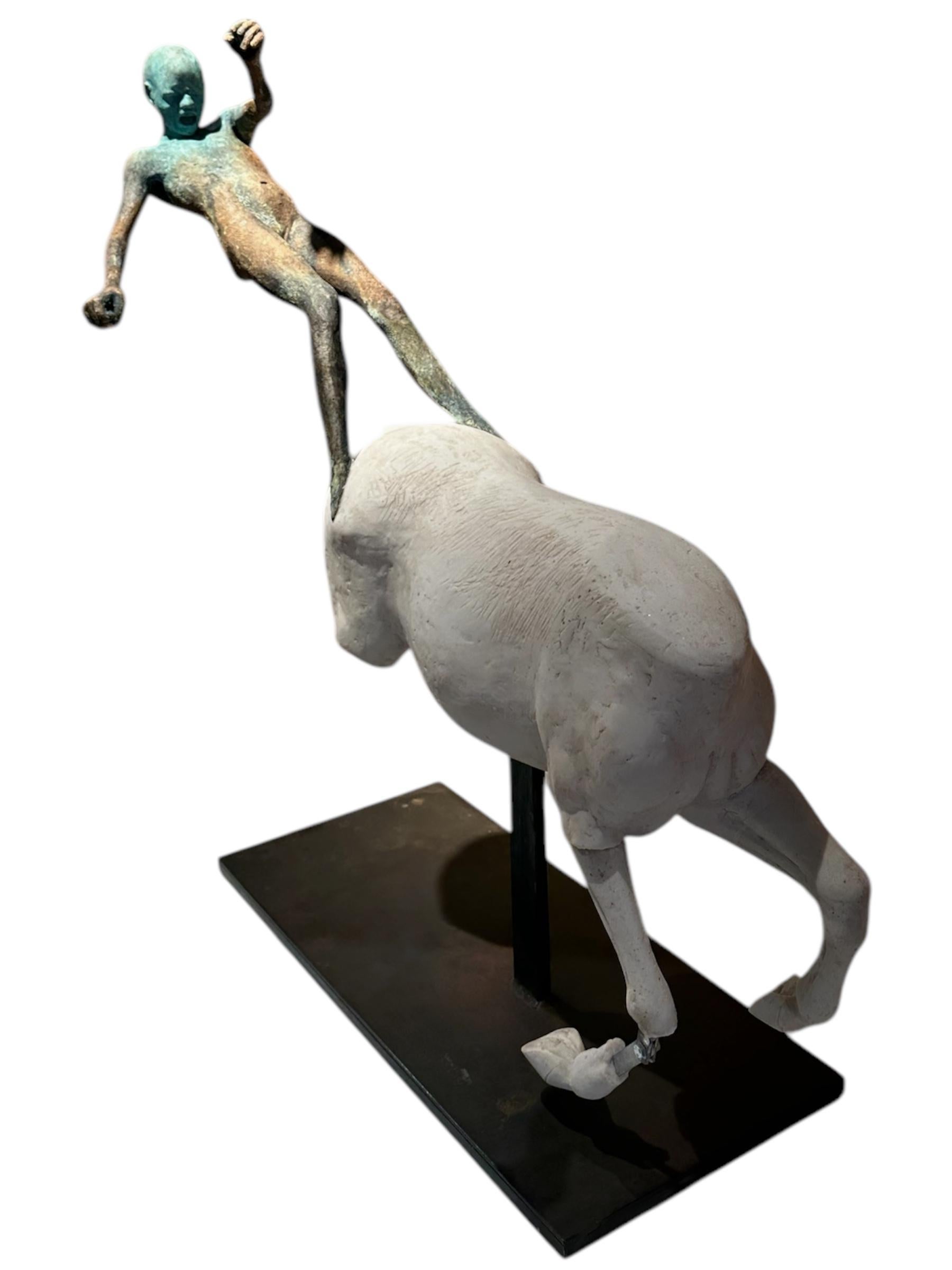 curia animal