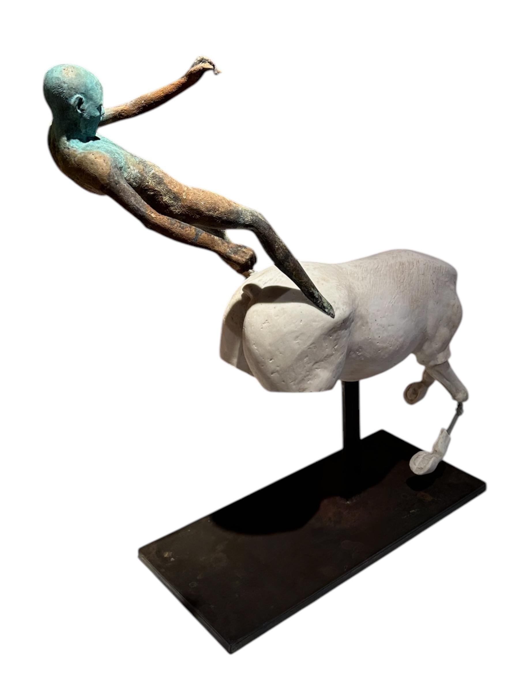 animal curia
