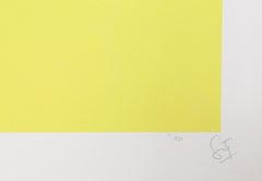 Sérigraphie d'art cinétique OP de Jesus Rafael Soto