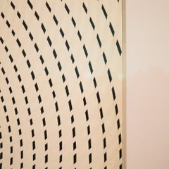 JESUS SOTO 1977 Sotomagie La Huella Spirals Silkscreen Print On Paper UV Framed