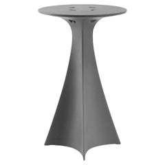 Jet Elephant Grey Table by Karim Rashid