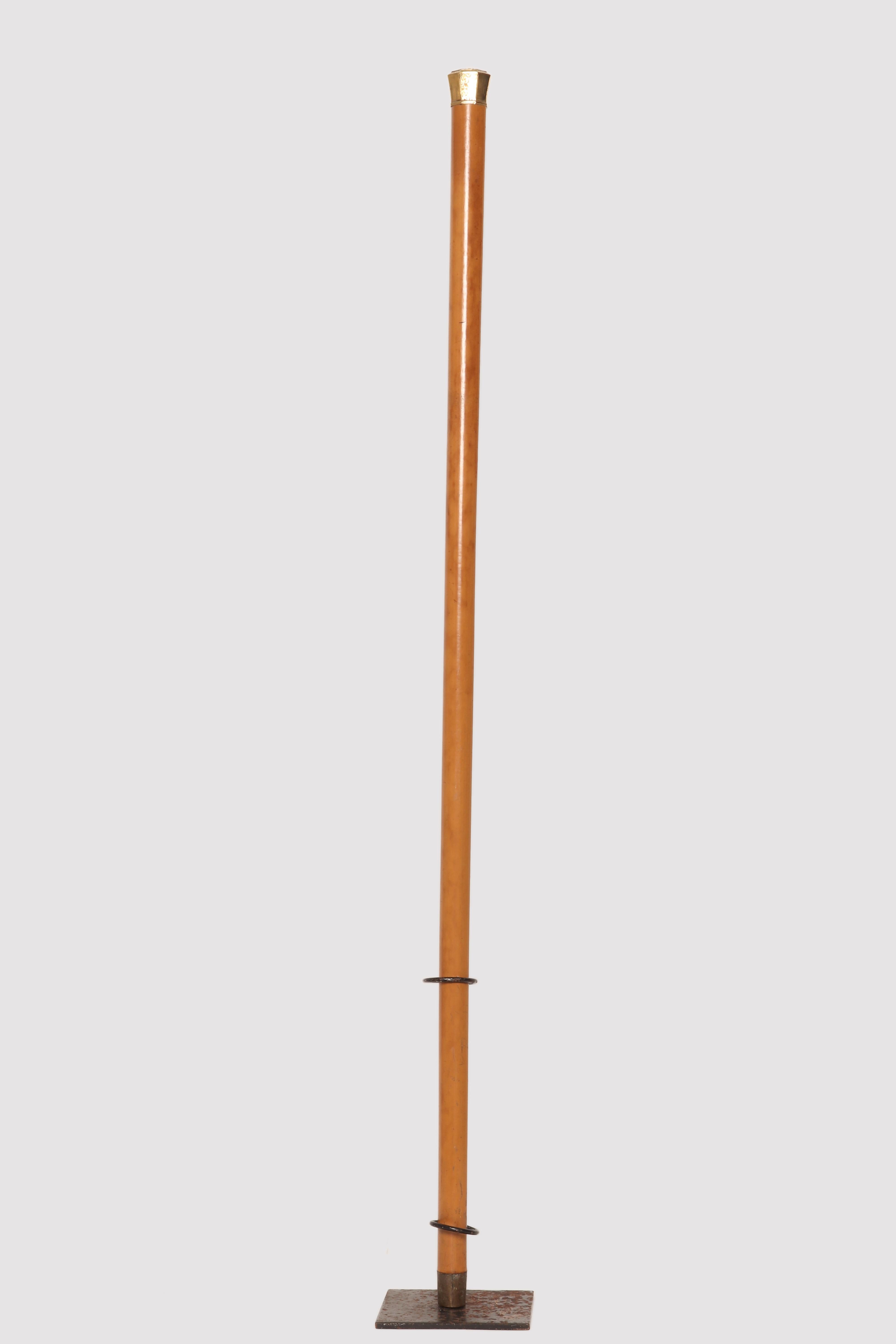 Jewel walking stick, USA 1841. In Good Condition In Milan, IT