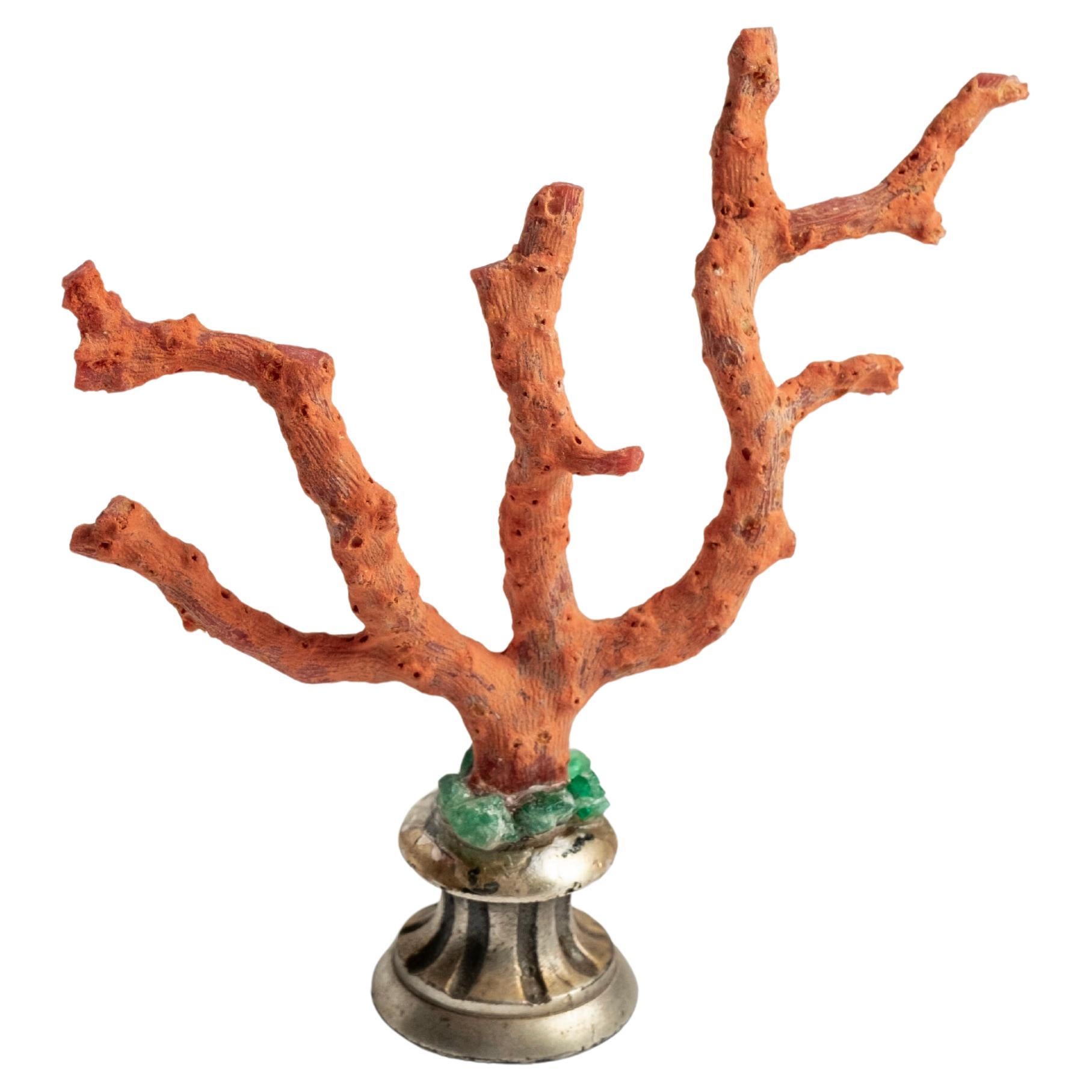 Jewell Red Coral Sculpture~ 19ème siècle White Bronze Fragment