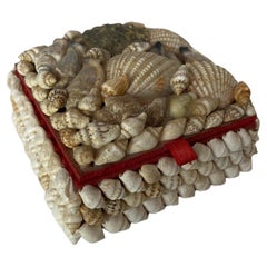 Schmuckkästchen oder dekorative Schachtel aus Muscheln und weißem Holz, Frankreich, 20. Jahrhundert