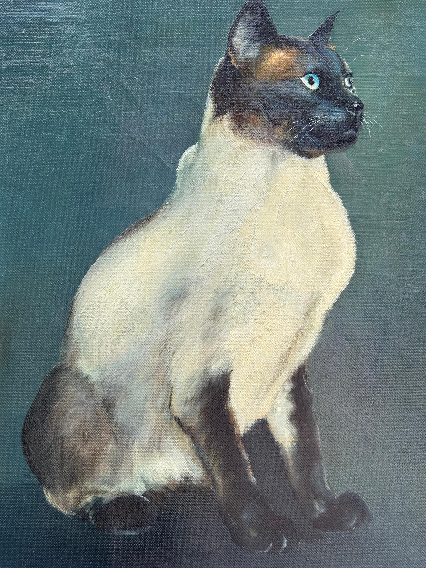 Ritratto di gatto siamese seduto, 29° secolo, inglese - Painting di J.Foley