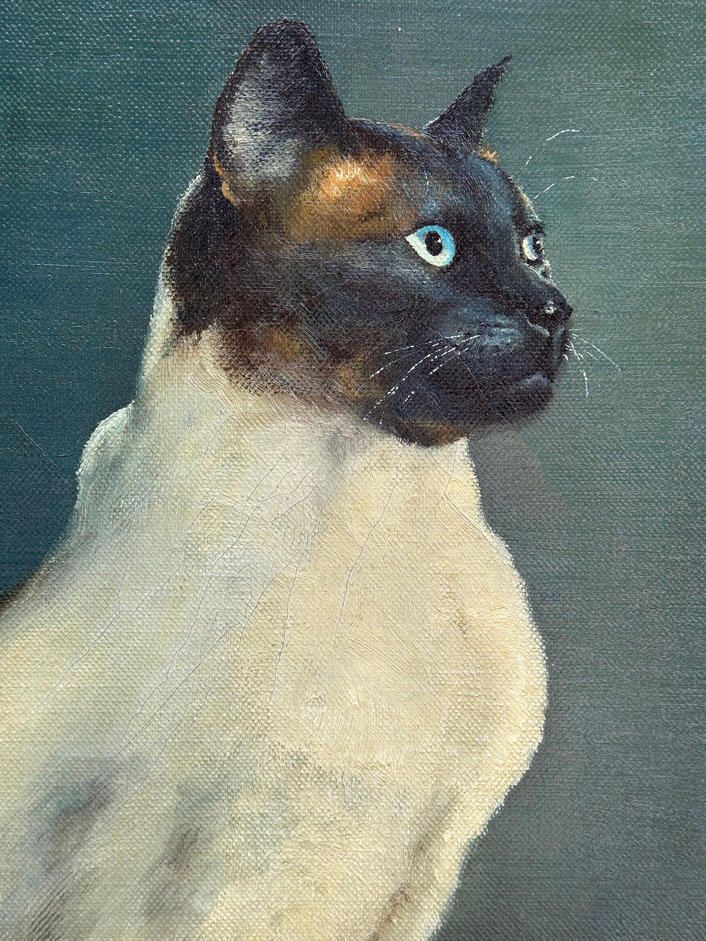 Ritratto di gatto siamese seduto, 29° secolo, inglese - Painting Realismo di J.Foley
