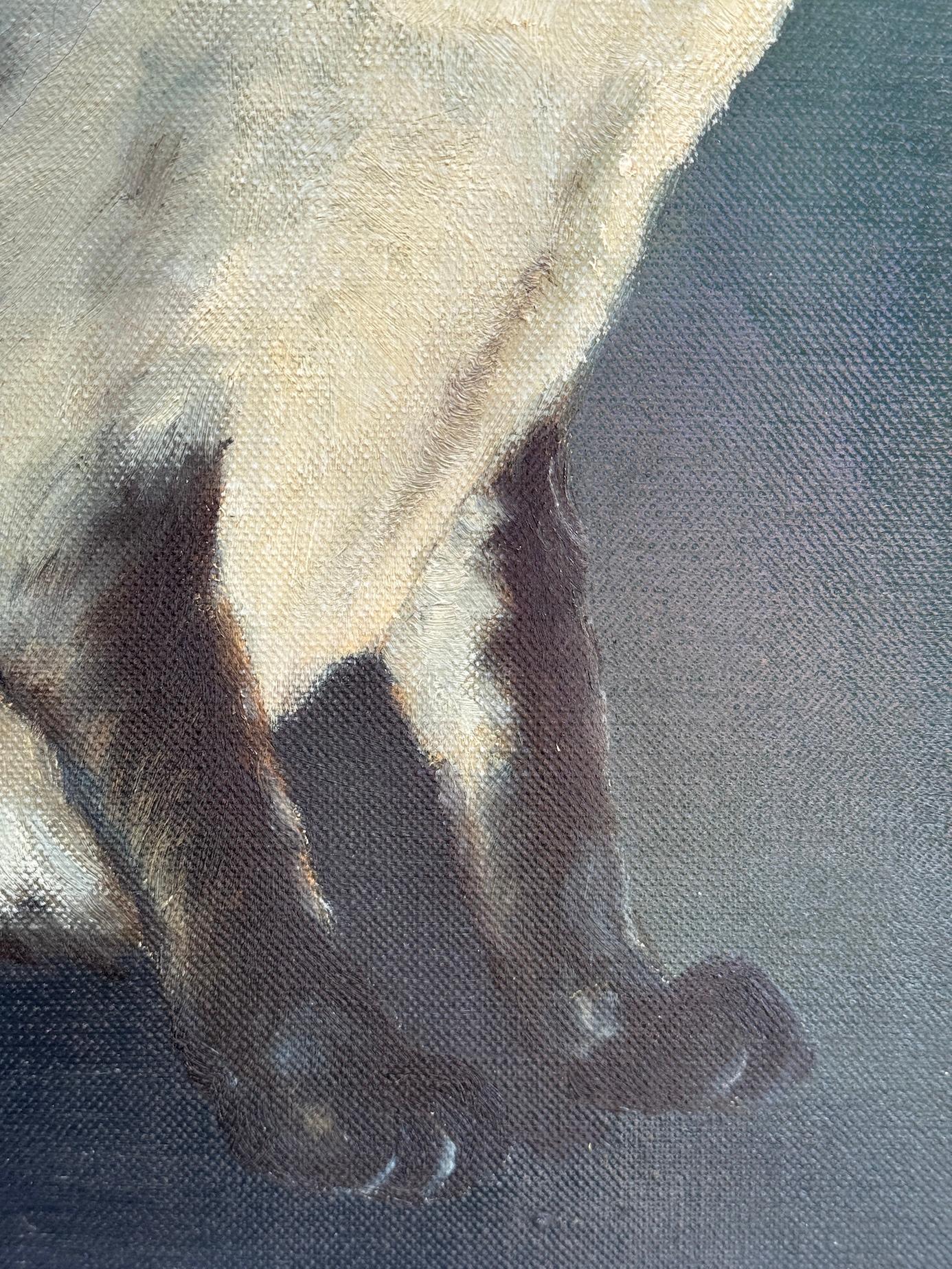 J. Foley (britannico, XX secolo)
Gatto siamese
Olio su tela
Firmato sul retro

Questo elegante ritratto cattura la grazia e il portamento caratteristici del gatto siamese, famoso per i suoi tratti marcati e il suo portamento regale. Su uno sfondo