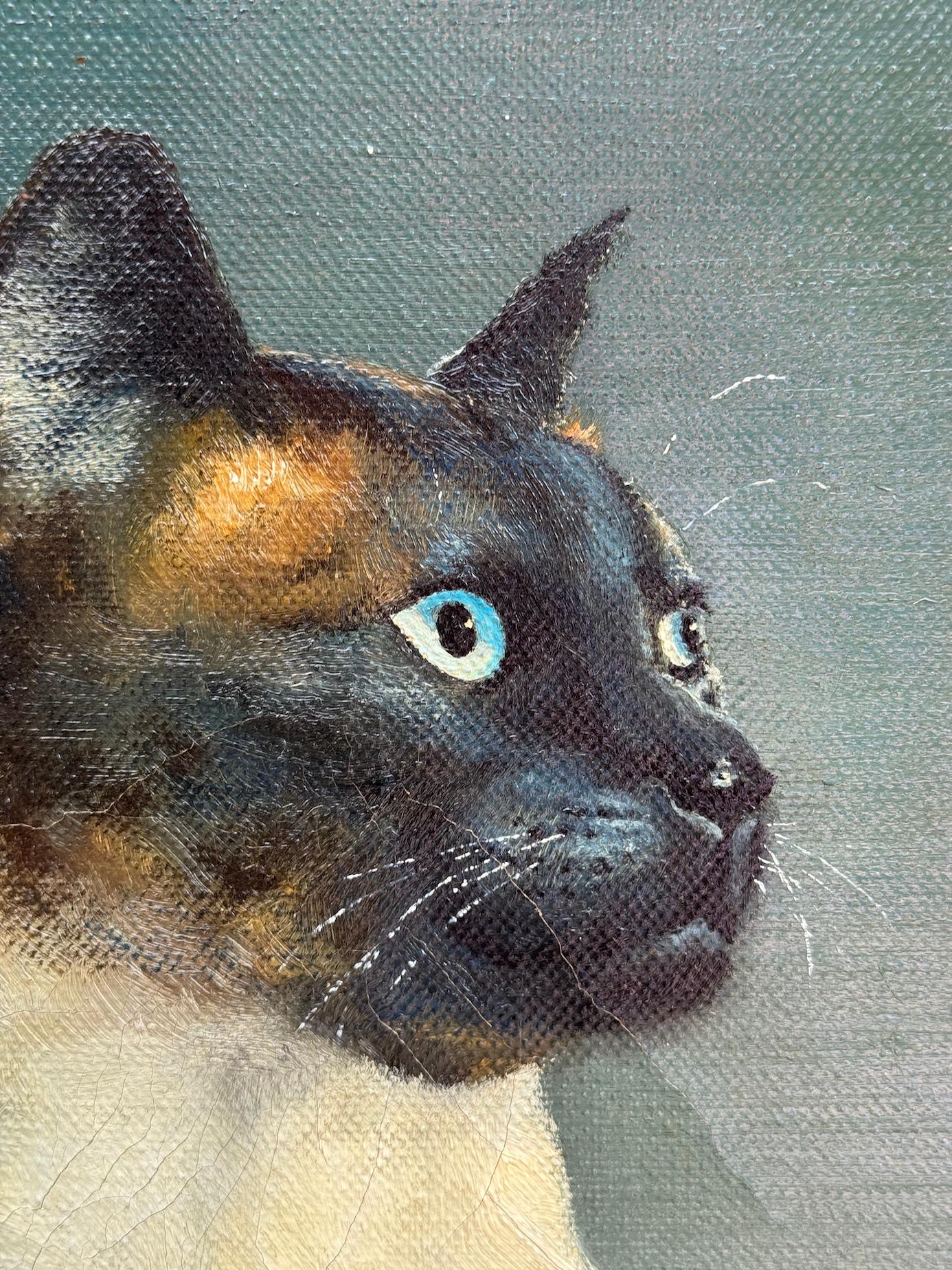 Ritratto di gatto siamese seduto, 29° secolo, inglese in vendita 1