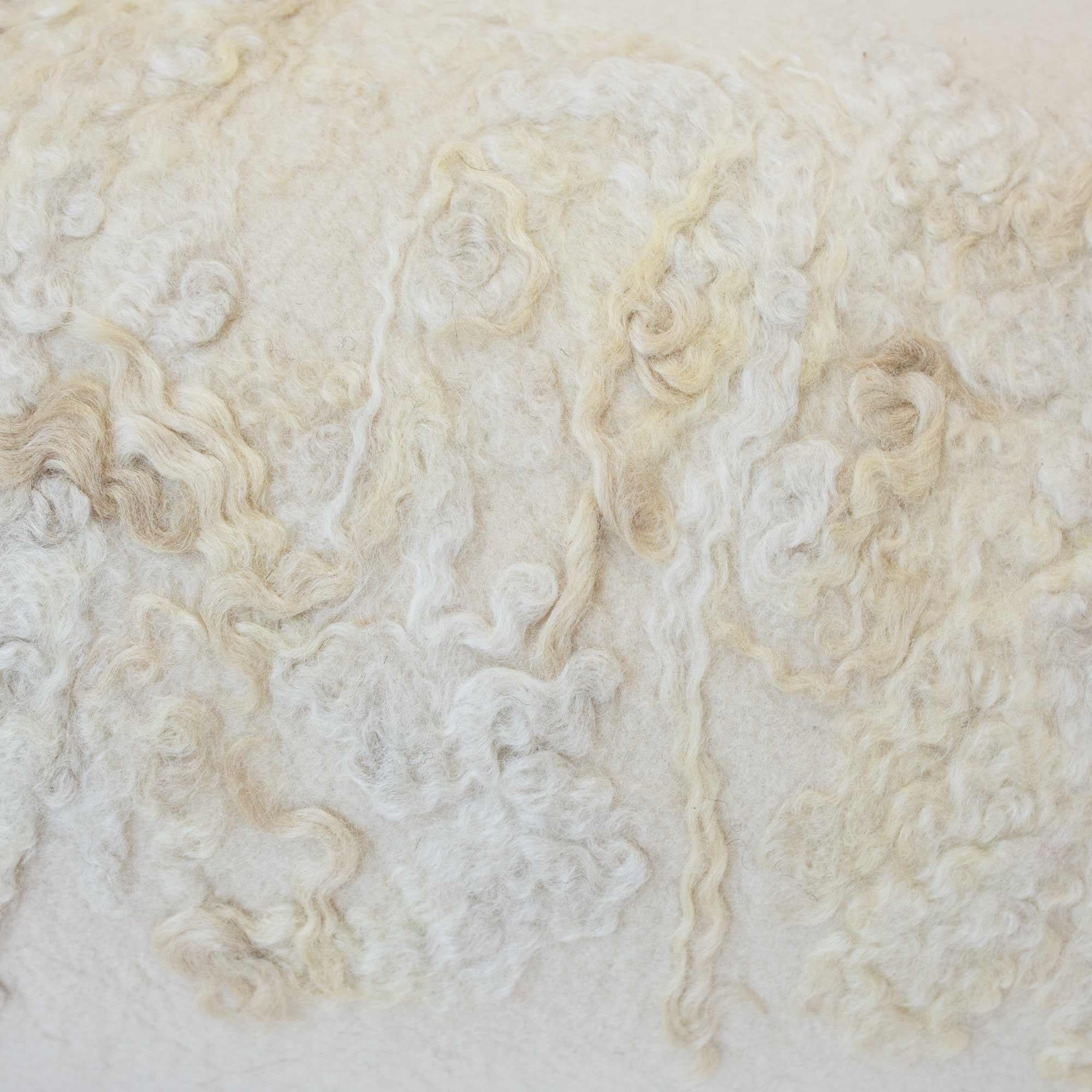 Organique JG SWITZER Oreiller en laine feutrée pour le corps, crème Wensleydale en vente