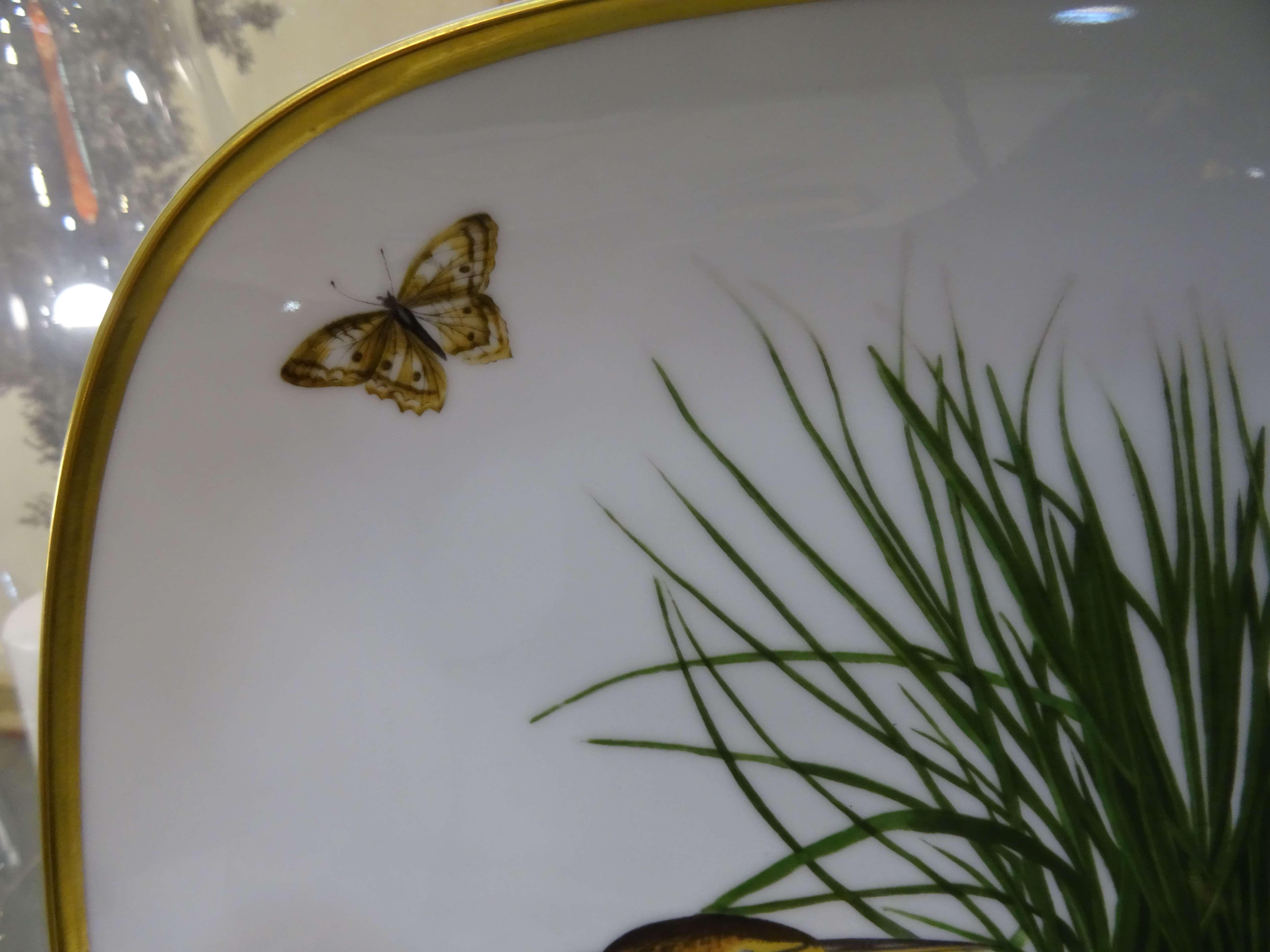 Hand-Crafted Jhon James Audubon Rosenthal Painted Birds Porcelain Try