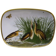 Jhon James Audubon Rosenthal Painted Birds Porcelain Try