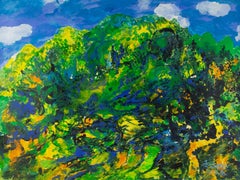 Jianchuan Qin Olio originale contemporaneo su tela "Bellezza della montagna".