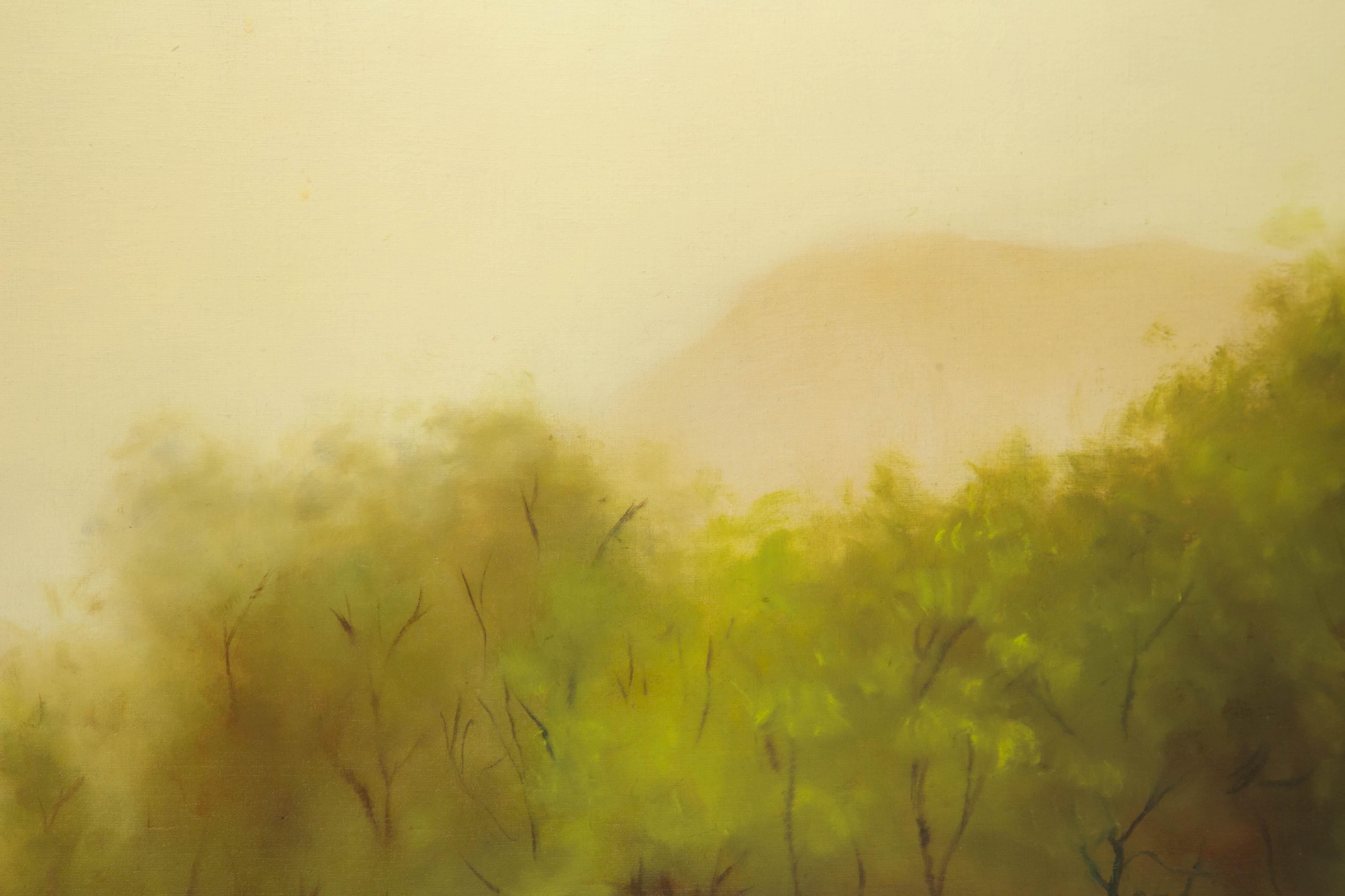 Jianping Chen Paisaje Original Óleo Sobre Lienzo 