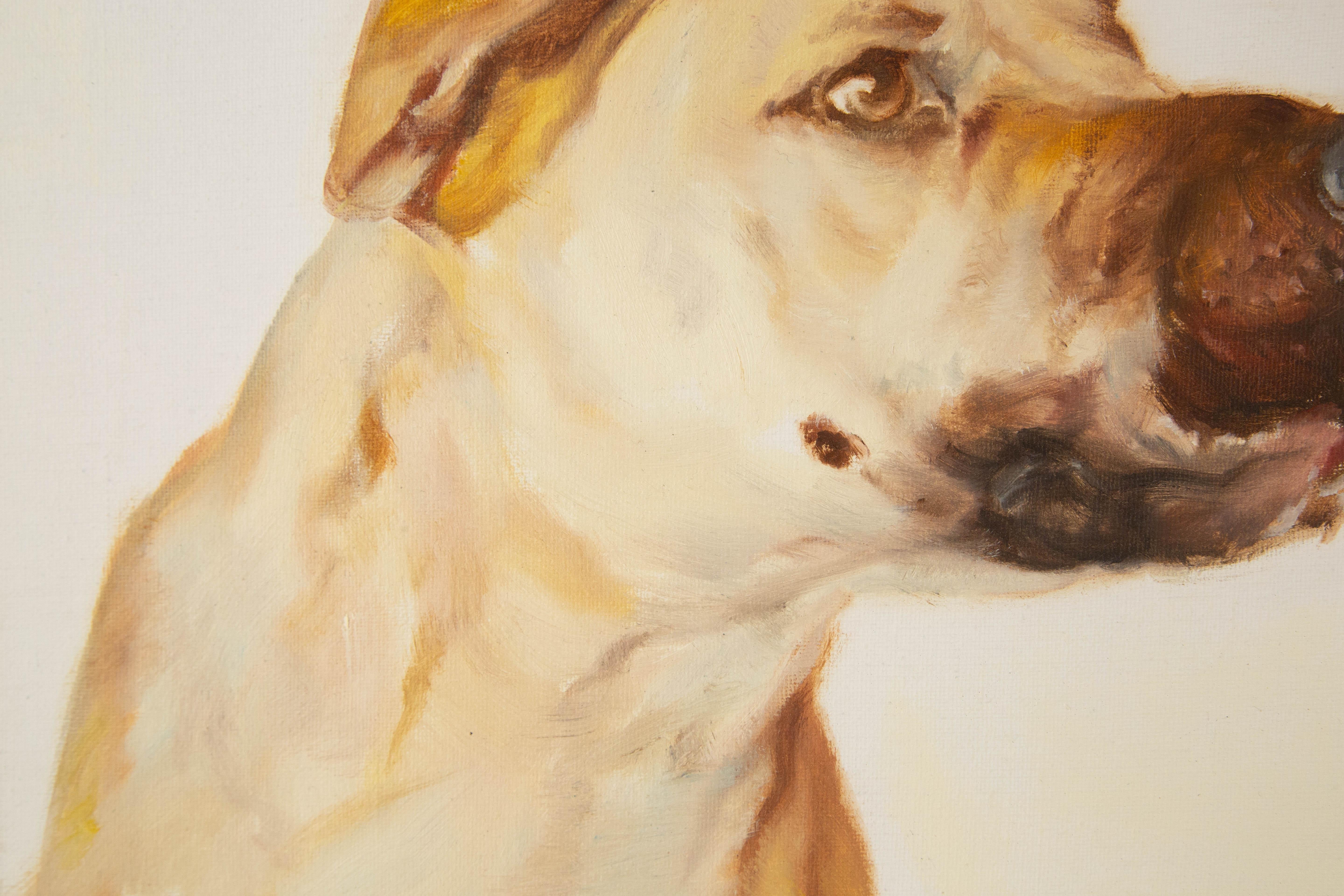 Jiao Wang Animal Original Oil On Canvas 