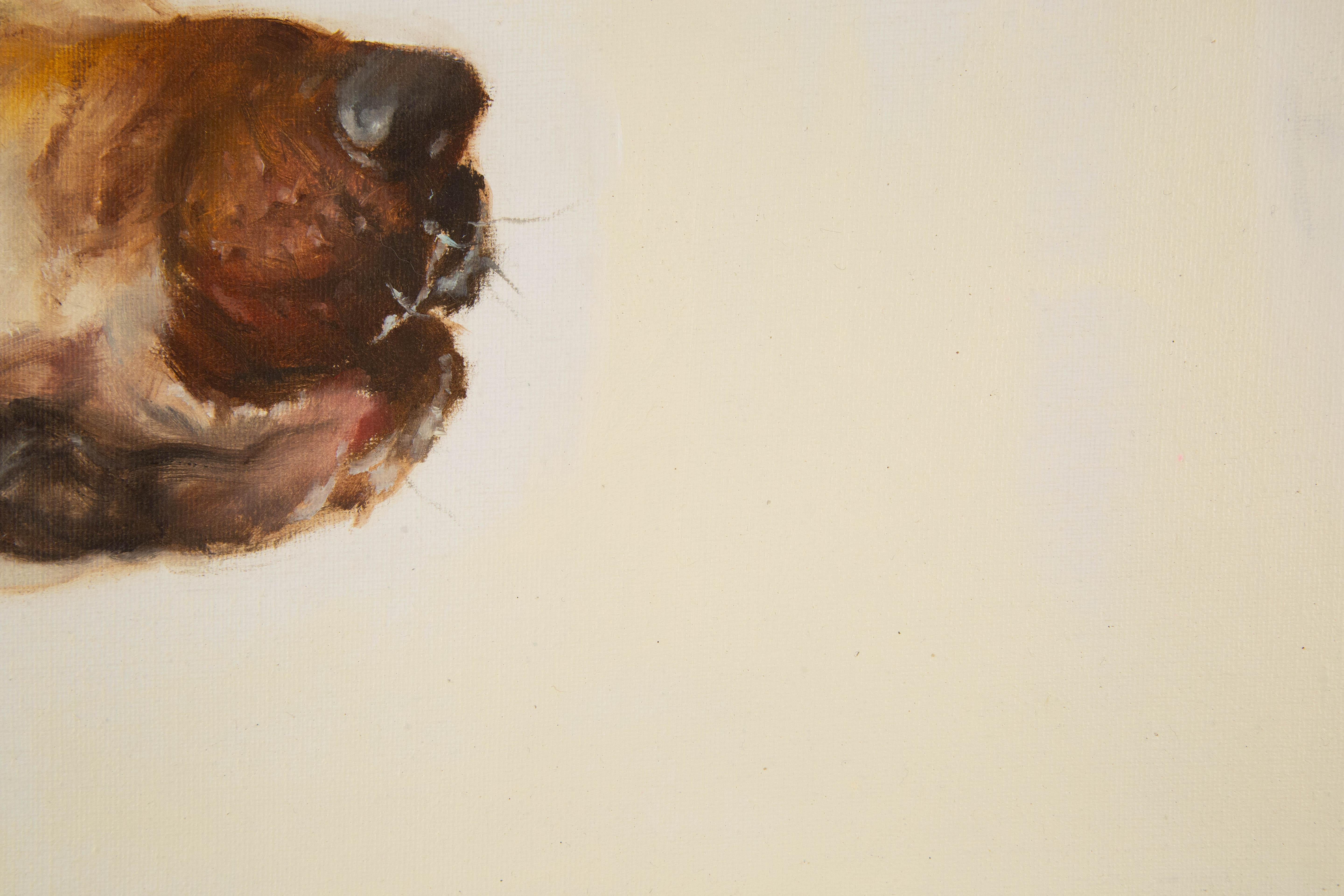 Jiao Wang Animal Original Oil On Canvas 