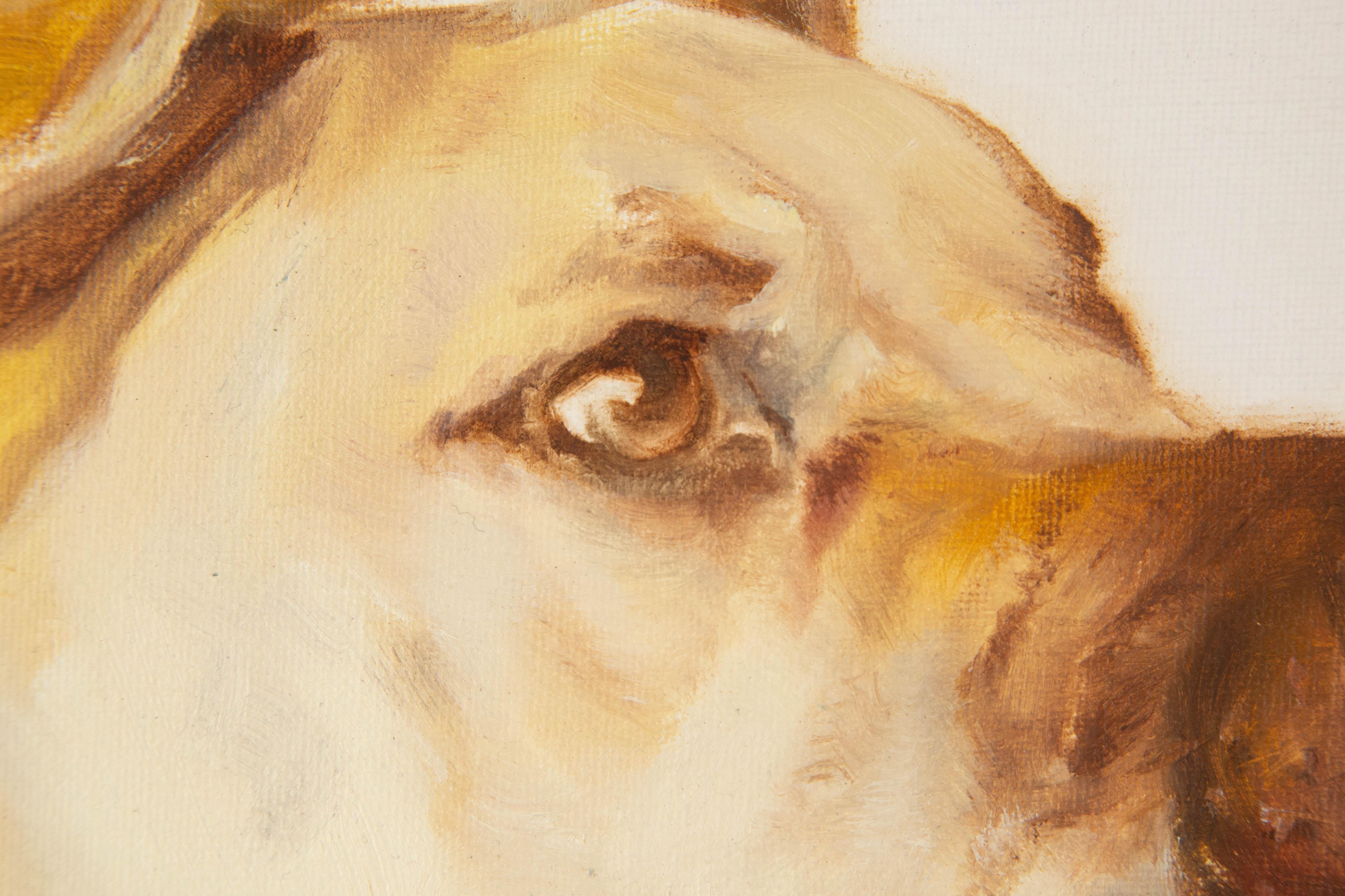 Jiao Wang Animal Original Oil On Canvas 